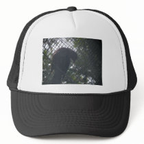 Tui Hat