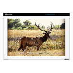 Tule Elk Bull 17" Laptop Decals