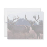Tule Elk Bulls Custom Invitations