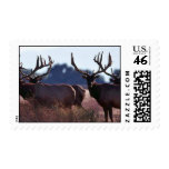 Tule Elk Bulls Stamp