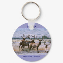 Tule Elk keychains by moxieann Tule Elk keychains