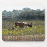 Tule Elk Mouse Pads