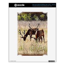 Tule Elk NOOK Decals