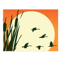 Tule Lake Post Card