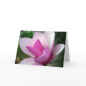 tulip 001 card by HAJenkins tulip 001 card