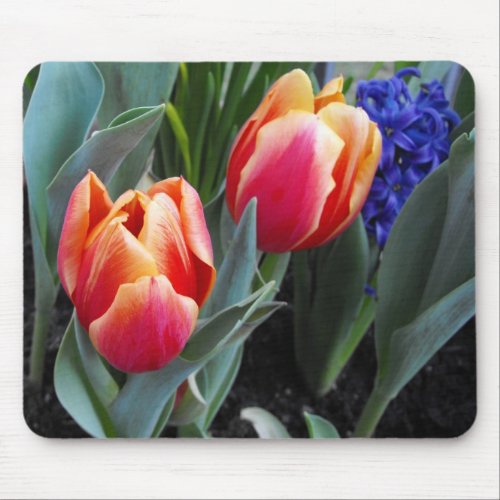 Tulip-A Flower of Love mousepad