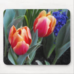Tulip-A Flower of Love Mouse Pads