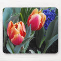 Tulip-A Flower of Love mousepads by WhiteOak50 Tulip-A Flower of Love mousepads