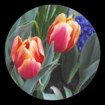 Tulip-A Flower of Love stickers