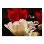 Tulip Administrative Professionals Day Card