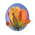 Tulip Against the Sky sticker