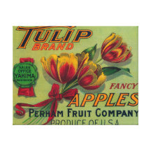 Tulip Apple Crate LabelYakima, WA Canvas Prints
