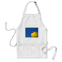 Tulip aprons