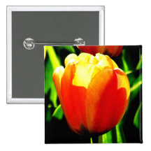 Tulip Art Pinback Buttons