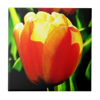 Tulip Art tile