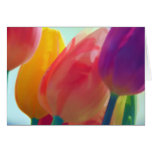 Tulip Balloons Greeting Card