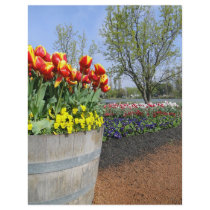 Tulip Barrell flyers
