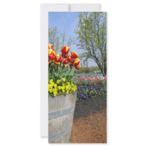 Tulip Barrell rack cards