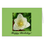 Tulip Birthday Card