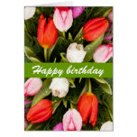Tulip birthday card