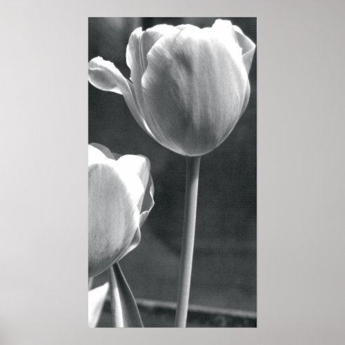 Tulip Black and White print