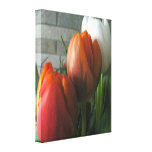 Tulip blooms gallery wrapped canvas