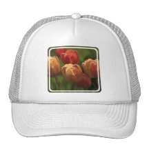 Tulip Blossoms Baseball Hat