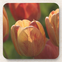 Tulip Blossoms Cork Coasters