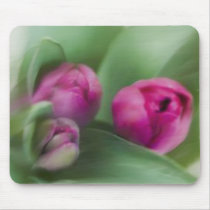 Tulip Bouquet mousepads by scottpiers Tulip Bouquet mousepads