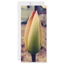 Tulip bud customized rack card