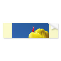 Tulip bumper stickers