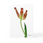 "Tulip" by J. Maya Luz Card