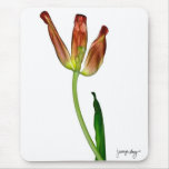 "Tulip" by J. Maya Luz mousepads