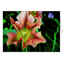 Tulip card cards