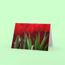 Tulip Card 2