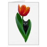 Tulip Cat Dark Card cards