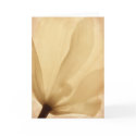 Tulip Closeup, Aged cards by Ambient_Image Tulip Closeup, Aged cards