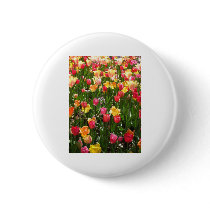 tulip,coloful buttons by pinkypetals tulip,coloful buttons