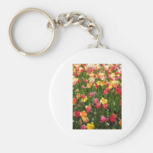 tulip,coloful key chains