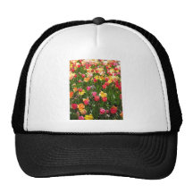 tulip,coloful trucker hats