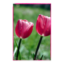 Tulip Couple posters by creativeworks Tulip Couple posters