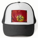 tulip.deep red hats by pinkypetals tulip.deep red hats