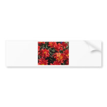 tulip,double red tulip bumper stickers