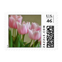 Tulip Expression postage