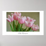 Tulip Expression Poster Tulip Expression Poster
