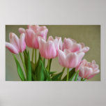 Tulip Expression Posters Tulip Expression Posters