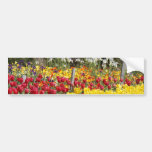 Tulip Fenceline Bumper Sticker