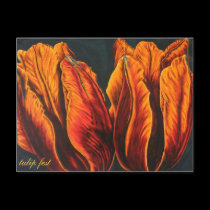 tulip fest postcards