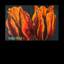 tulip fest t-shirts