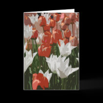 Tulip Festival cards